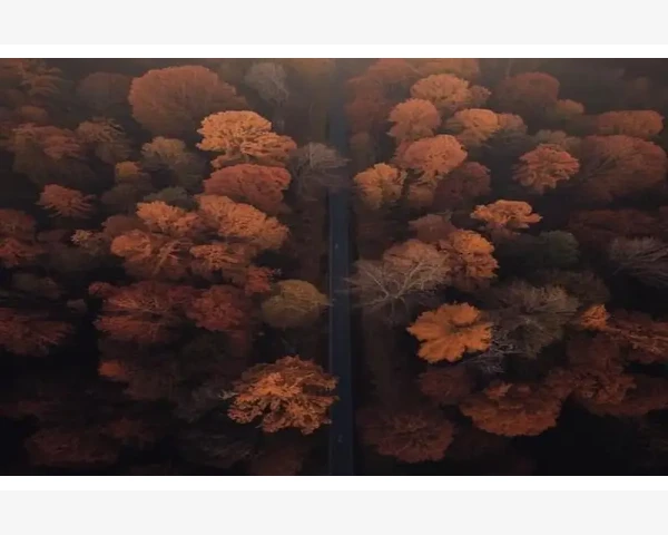 刮痧对乳腺结节的缓解效果及注意事项
