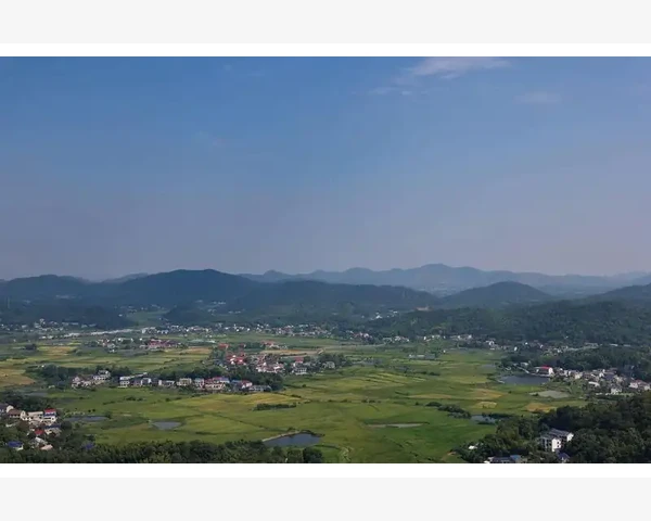 夏至养生：饮食调理，守护健康仁心相伴，身心趋于平衡